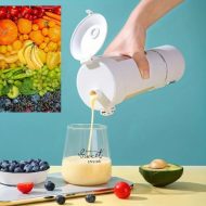 Mixeur extracteur rechargeable de jus puissant centrifugeuse énergique