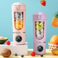 Mixeur extracteur rechargeable de jus puissant centrifugeuse énergique